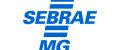 2 Sebrae MG